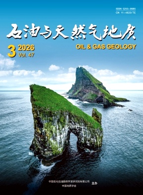 石油与天然气地质封面